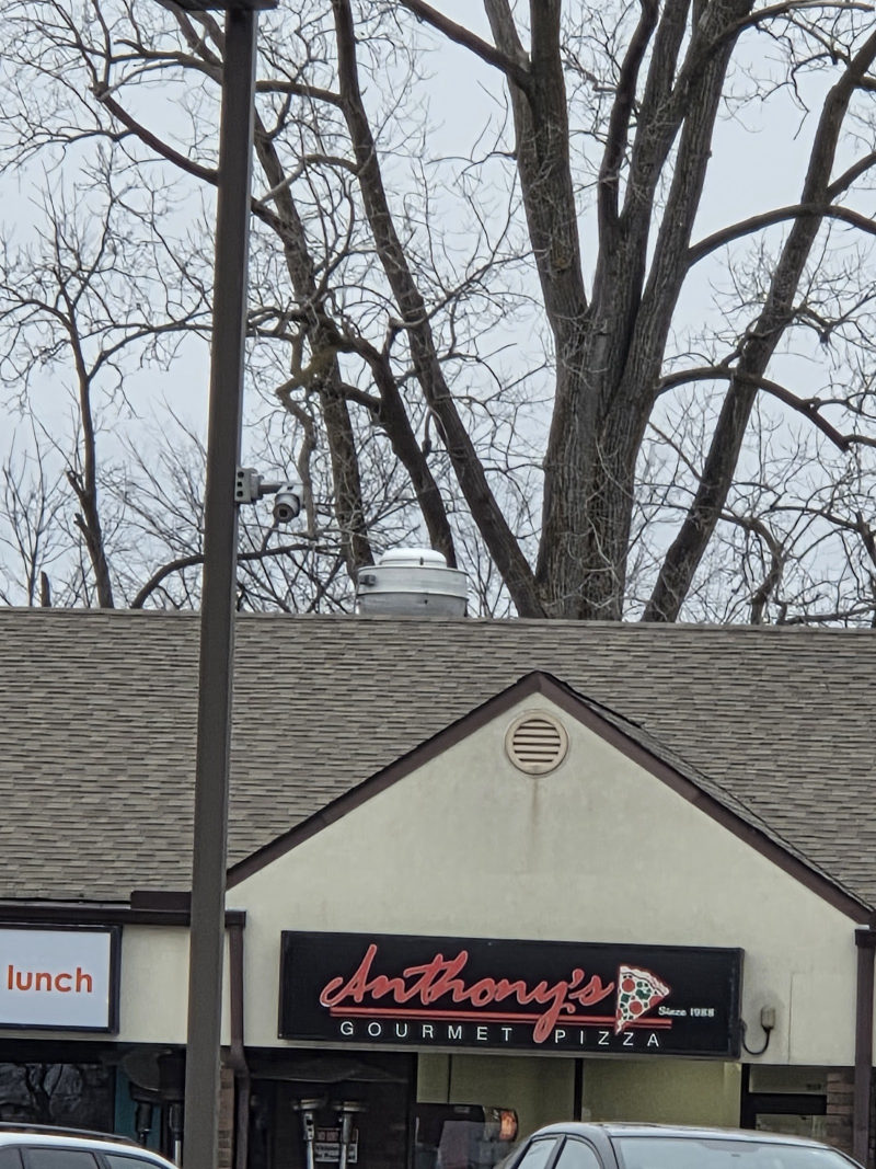 Anthony's Gourmet Pizza in Ann Arbor
